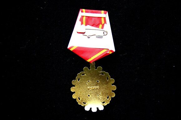 КК10 Знак Ордена Святой Анны на колодке с лентой, муляж 3