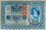 1000 крон 1919 года Австрия, копия